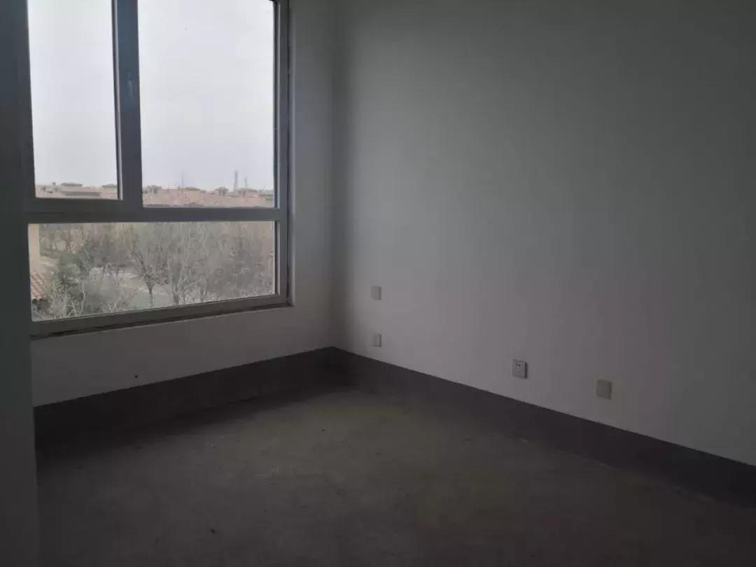 武清沉寂了6年的纯别墅社区，最近你被他.....