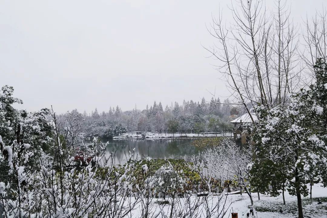 杭州温泉网红打卡地,杭州十大顶级温泉