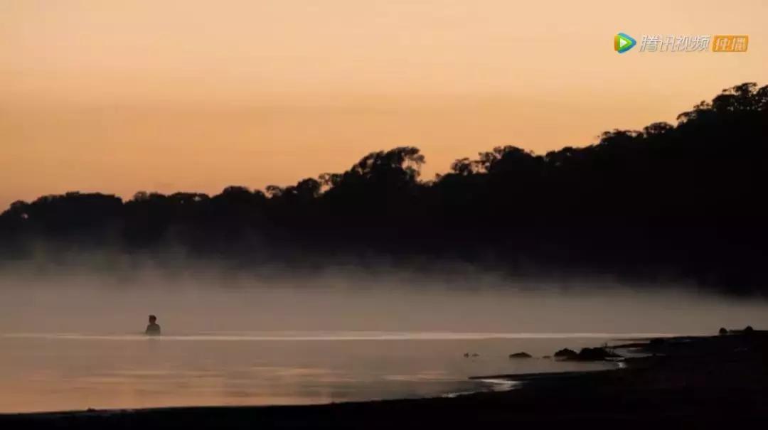 人在逆境要懂得坚持,面对逆境向阳而生