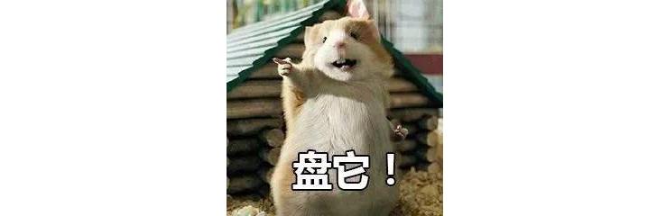 新来的同事表现好可以提前转正吗,钉钉新增同事