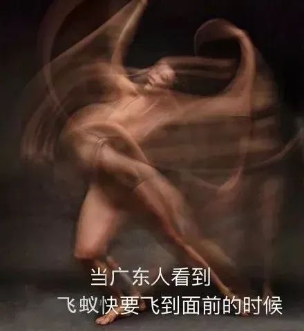 大水蚁进屋能活多久,大水蚁入侵房子