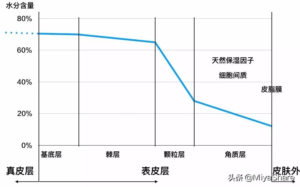 外油内干严重如何给肌肤快速补水,皮肤干怎么保持水油平衡