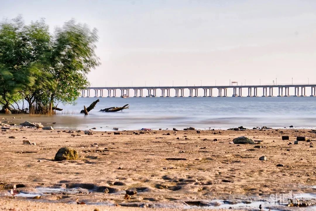 坐11号线去深圳看海,11号线碧海湾看海