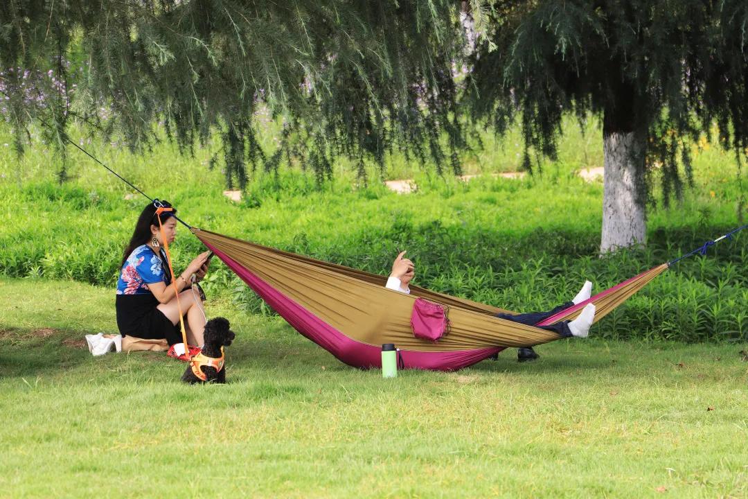 搞快点是哪里方言,搞快点