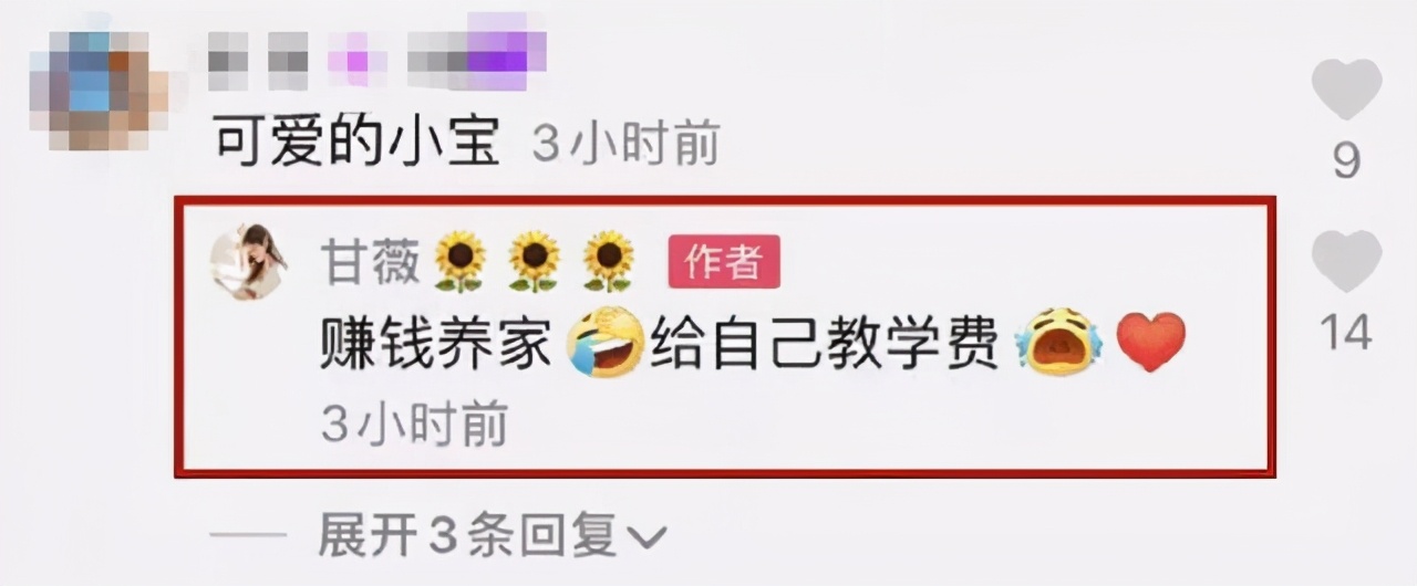 甘薇负债,甘薇资产负债多少亿