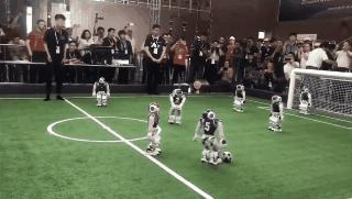 今天去这里的天津人都被逗乐了！没去的快看！