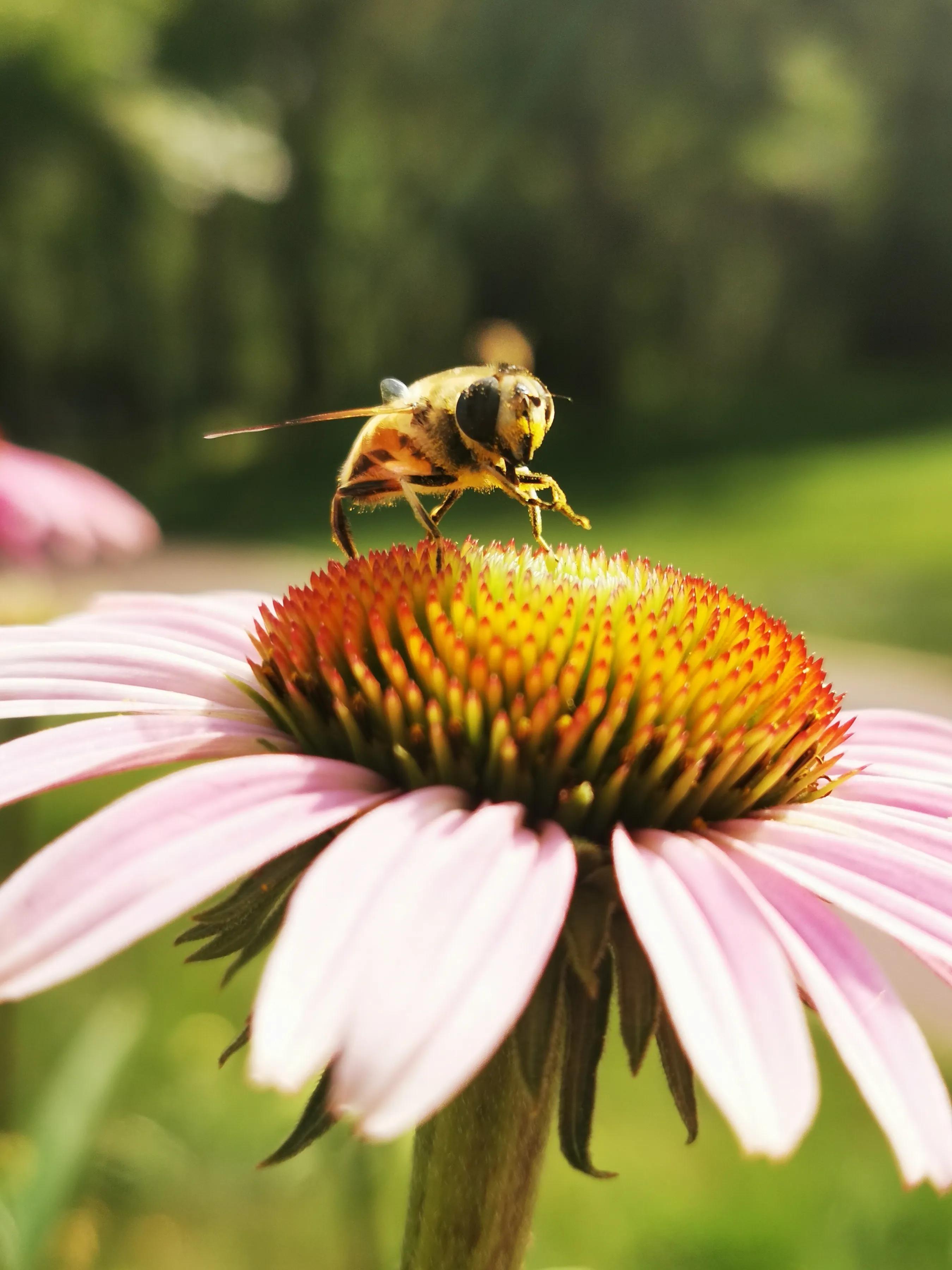 手机摄影手册圈友作品选第5期,手拍世界摄影交流平台