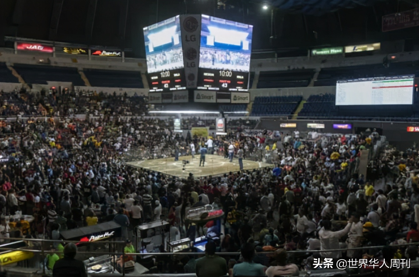 菲律宾斗鸡失误死亡,菲律宾斗鸡带刀杀死主人