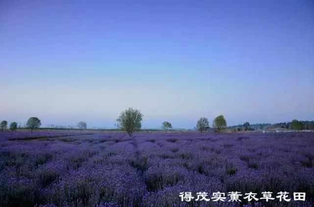 你好！我叫博山，这是我的简历......,转自博山微生活）