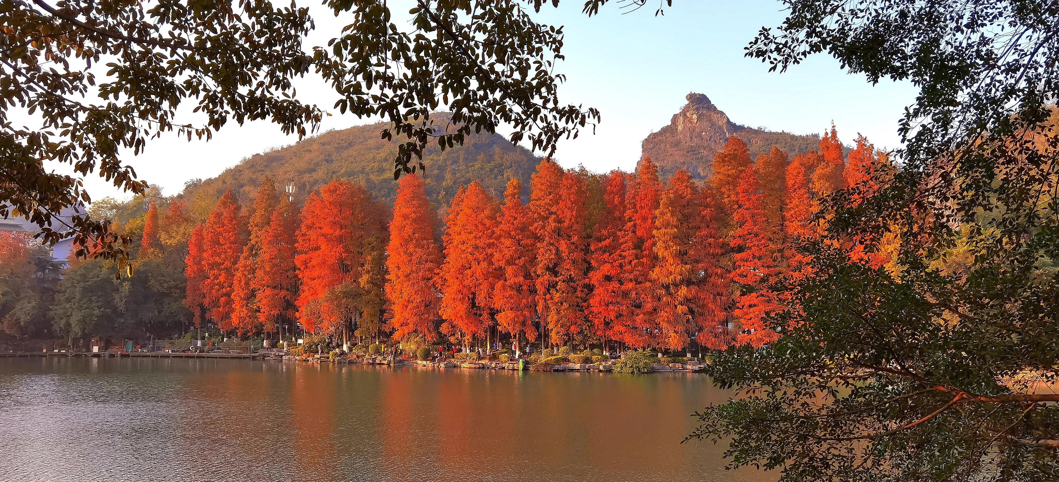 桂林：冬季到桂湖来看景