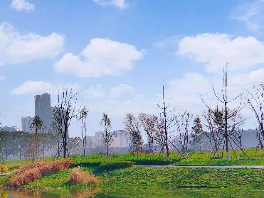 青白江十大健身地,青白江区体育锻炼的地方