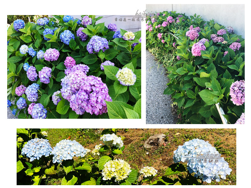 日本东京带娃旅游最好的时间,日本东京带娃