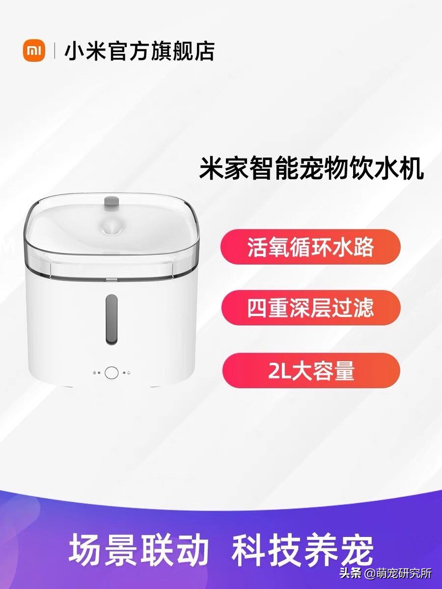 养猫必备无线饮水机,适合养猫的饮水机