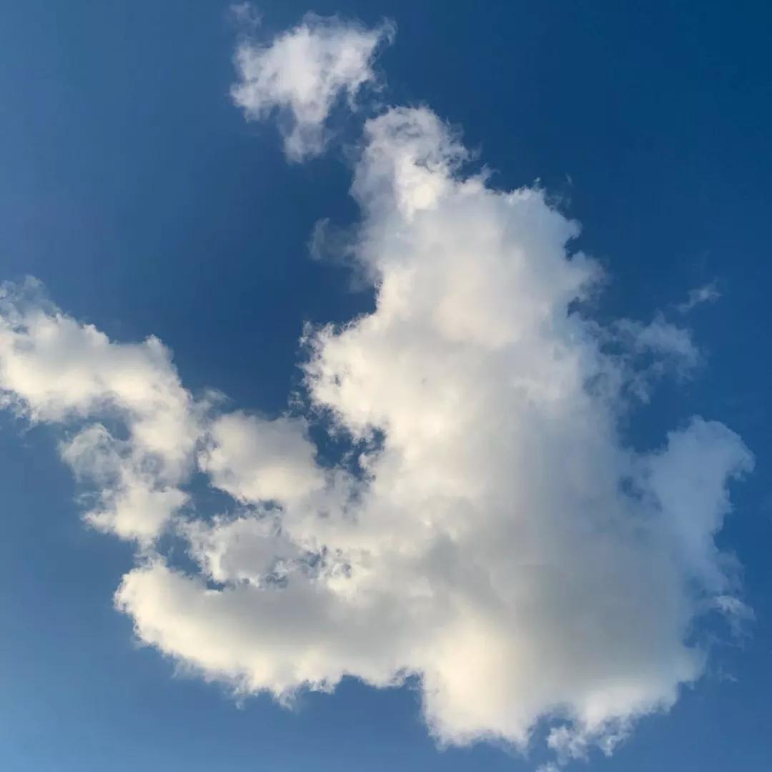 美国数学大联盟杯赛报名,美国数学大联盟杯赛怎么样