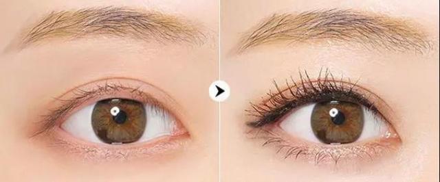 假睫毛适合的睫毛膏,刷睫毛膏是不是不用贴假睫毛了