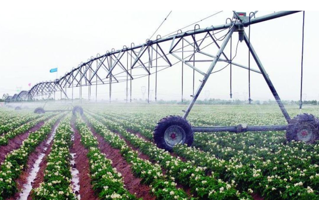 以色列一个小国为啥那么厉害,弹丸小国以色列没人打得过吗