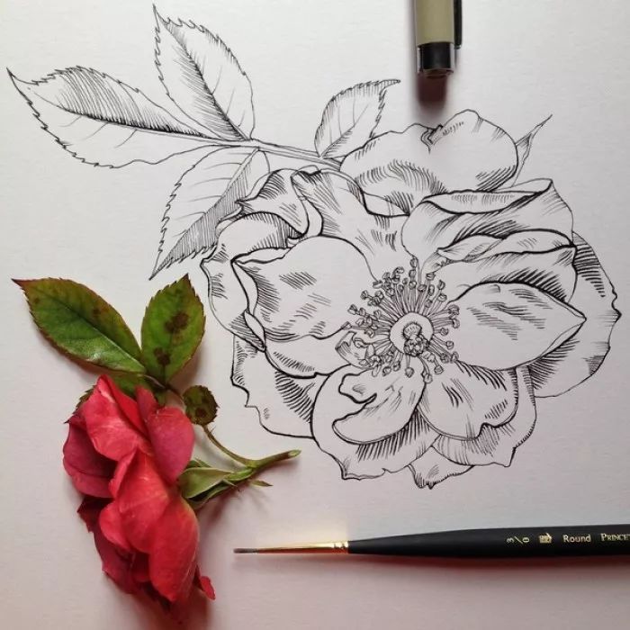 简单针管笔手绘花,简单易学针管笔手绘