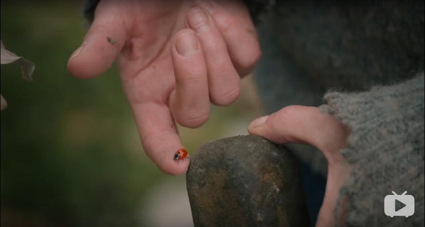 苍天啊大地啊是刘欢的哪首歌曲,苍天啊大地啊是哪个小品