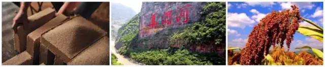 酒中酒浓香怎么样,酒中魂的酒怎样