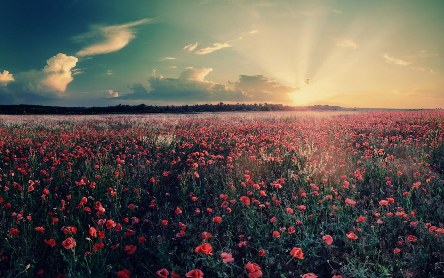 塔木德经典话语,塔木德告诉我们的道理