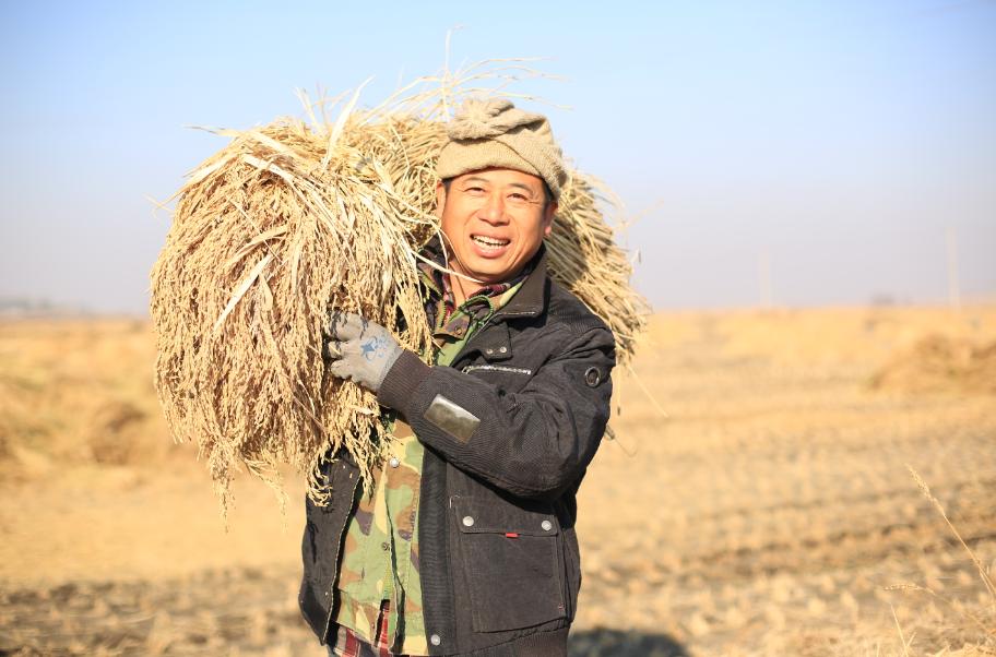 保食品安全,保春耕护粮安农资企业在行动