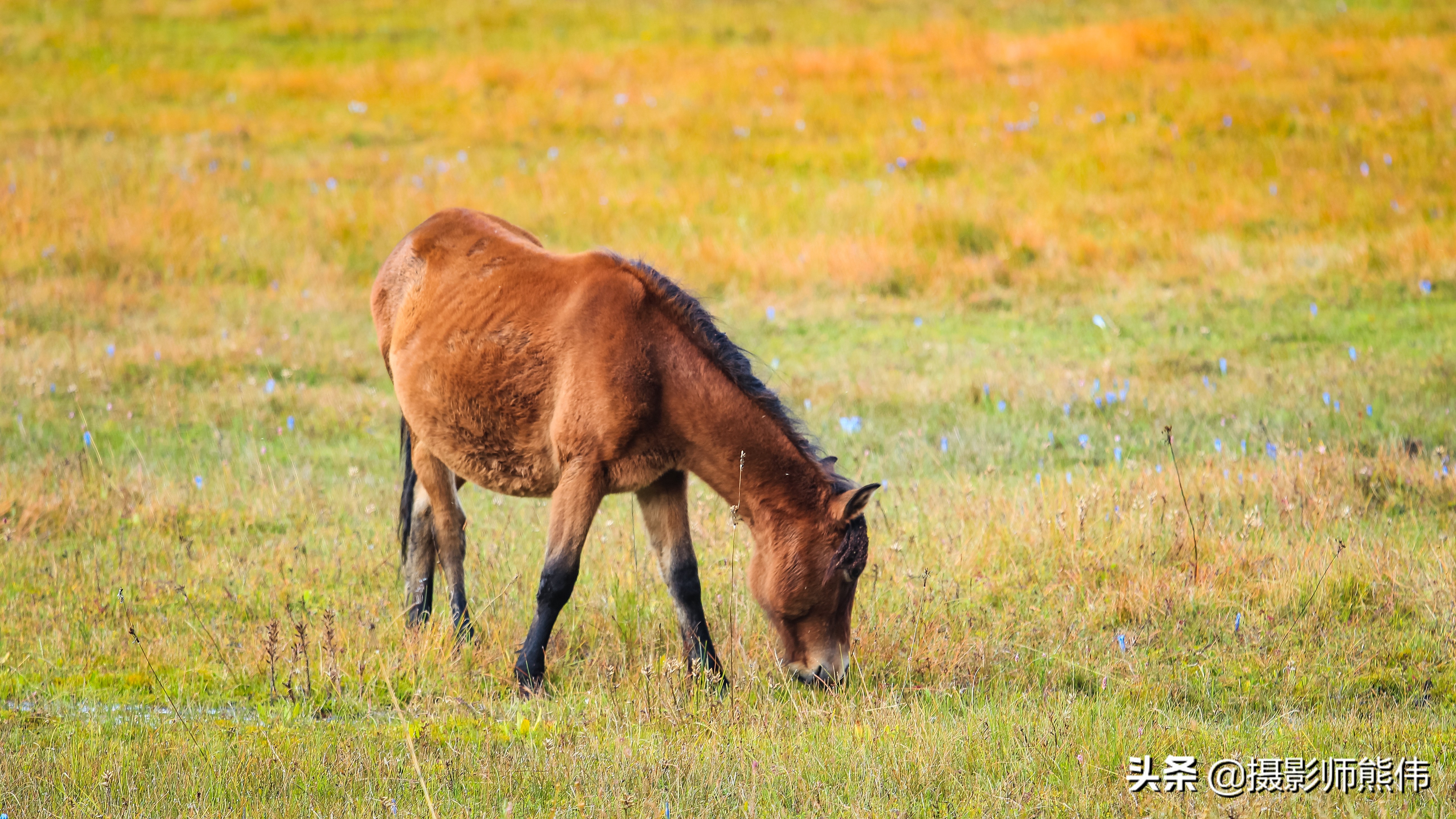 美丽静谧的香格里拉,香格里拉极境之美