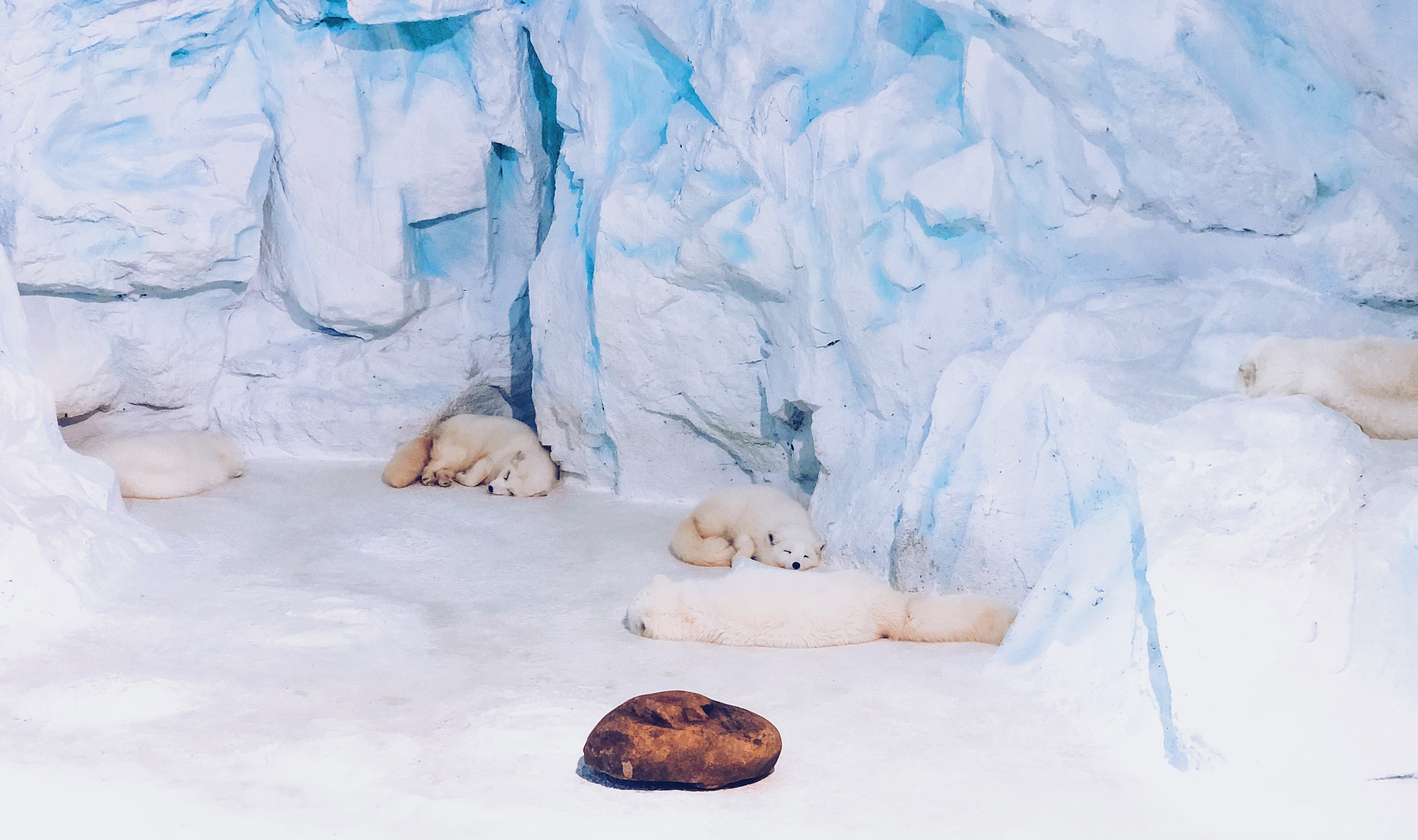 珠海长隆海洋王国吃住旅游攻略,最新珠海长隆海洋王国一日游攻略