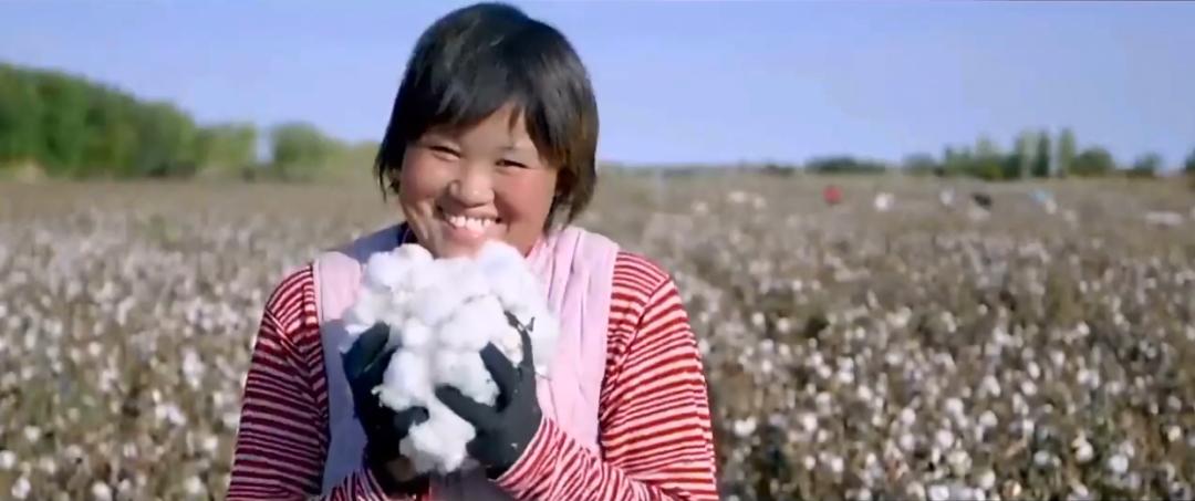 新疆采棉工,新疆采棉工真实收入