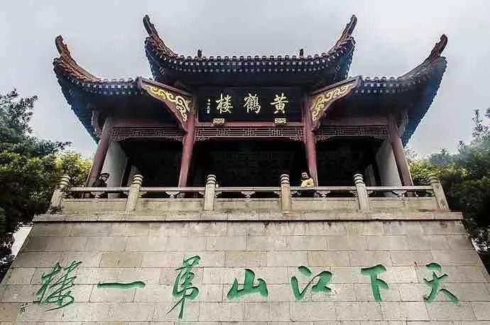 钱币收藏价值梅花五角钱,钱币收藏菊花一元2000年