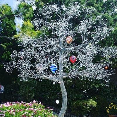 去箱根最快的方法,去箱根旅游住哪里比较方便