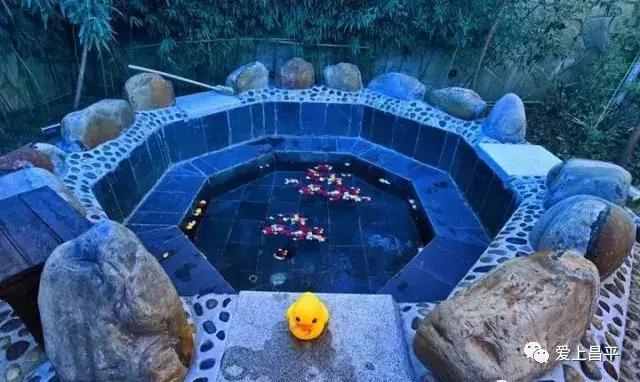 享受自家小院这悠闲时光,享受独处小院时光