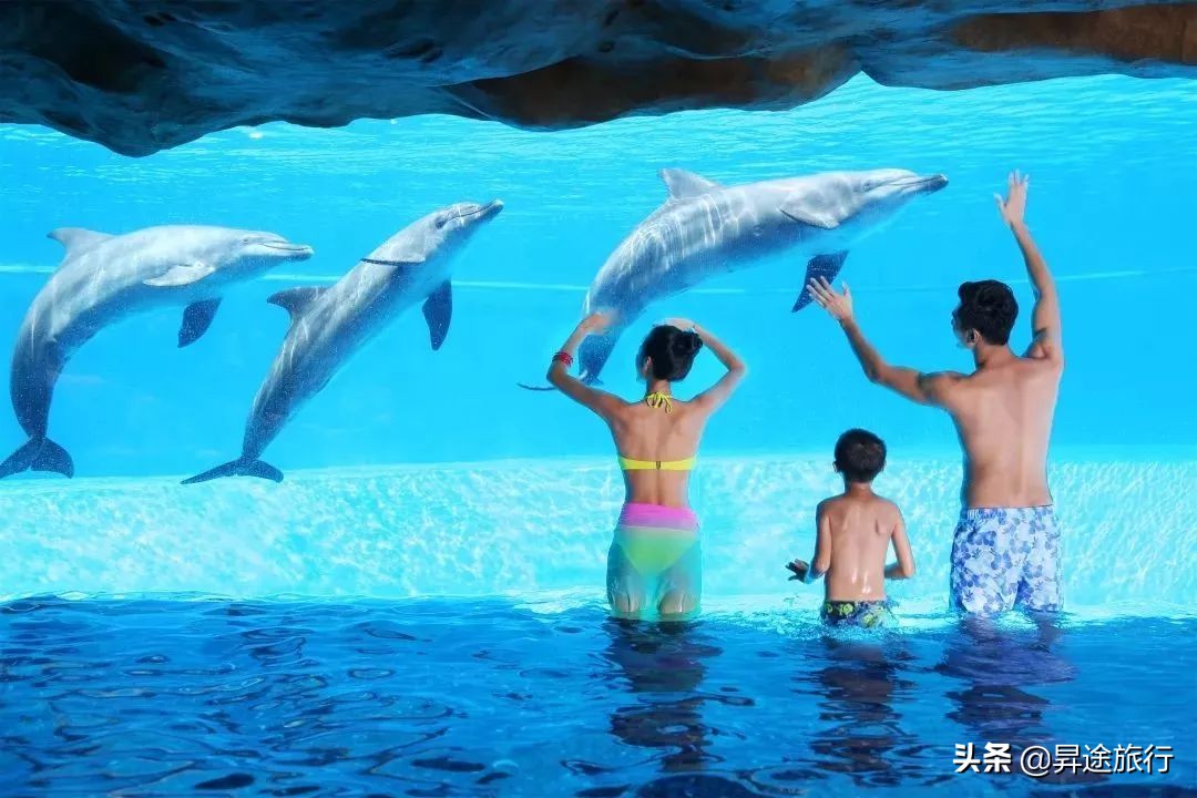 珠海长隆水上乐园刺激儿童也能玩,珠海长隆水上乐园空中旋转