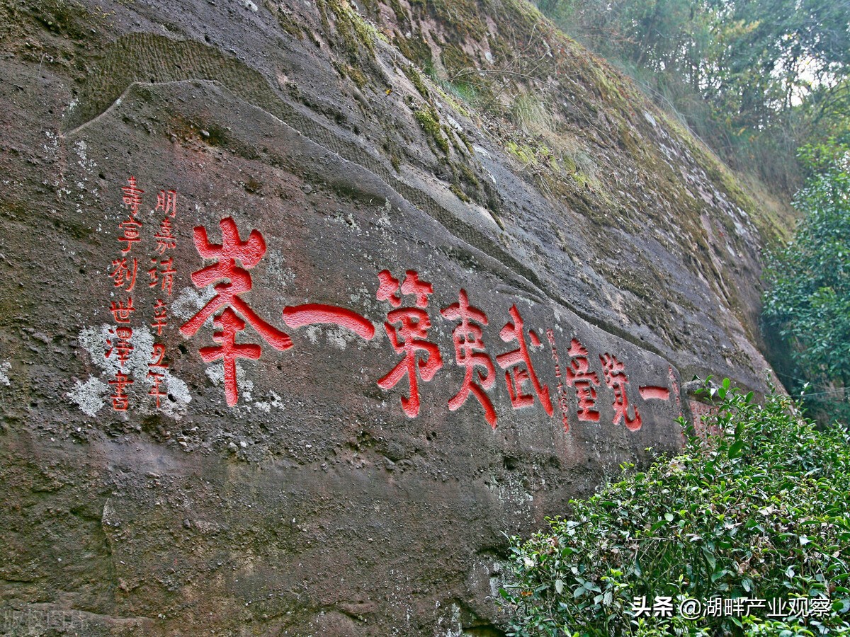 福建城市发展怎么样,福建城市发展水平