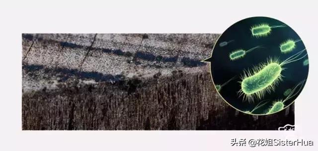 用什么粘板好,厨房砧板用什么材质好