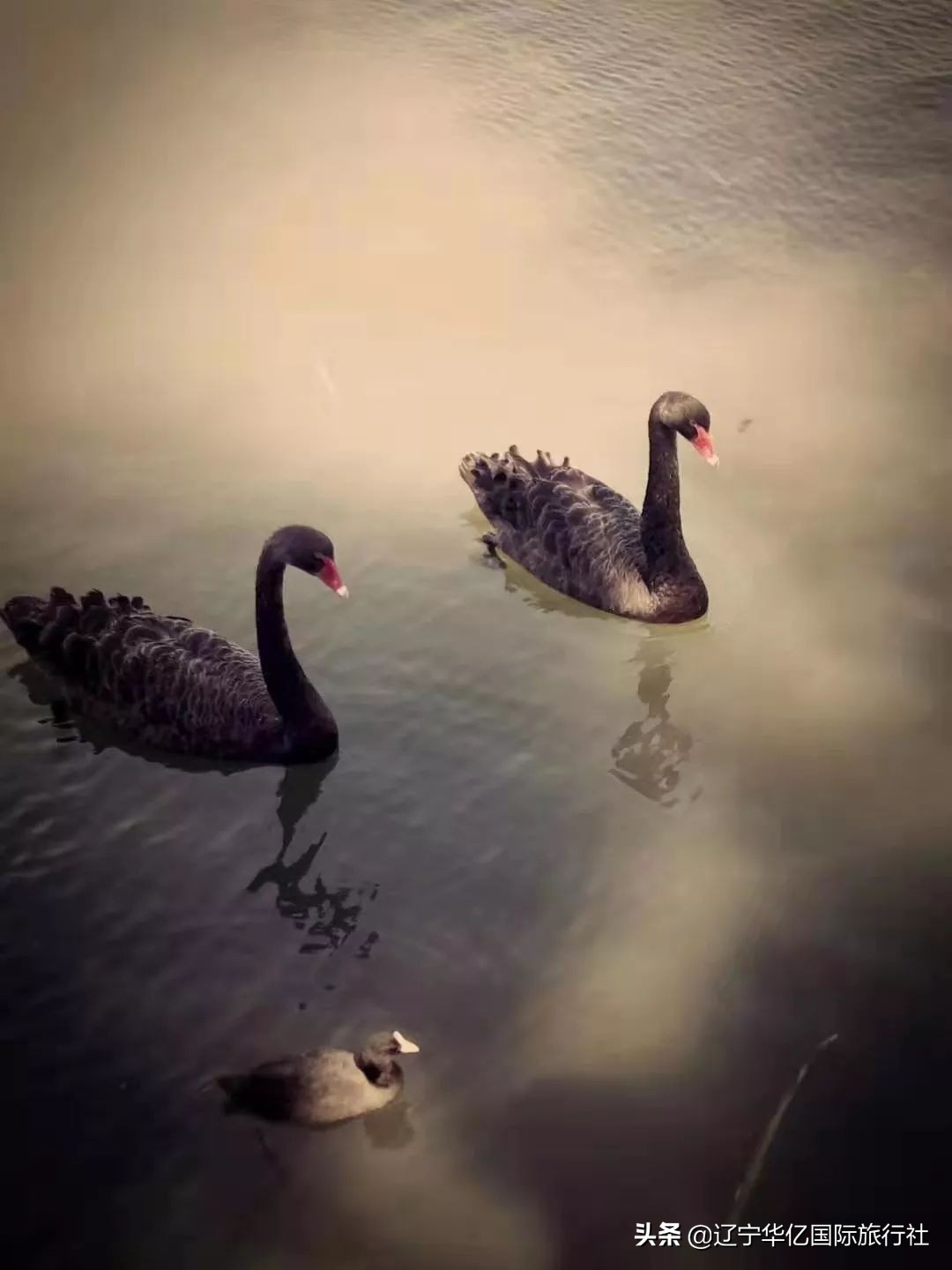 看世界震撼视频,看世界的震撼