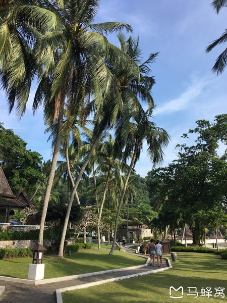 绿中海娱乐会所,绿中海旅游