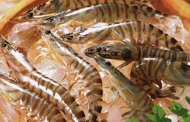 速达易购生鲜配送中心,生鲜快达