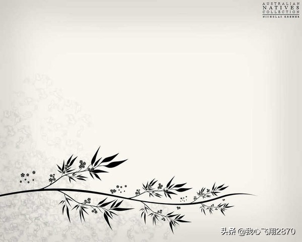 ppt实用素材,比较实用的ppt