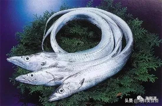 十种最美味海鲜,100种常见海鲜大全图