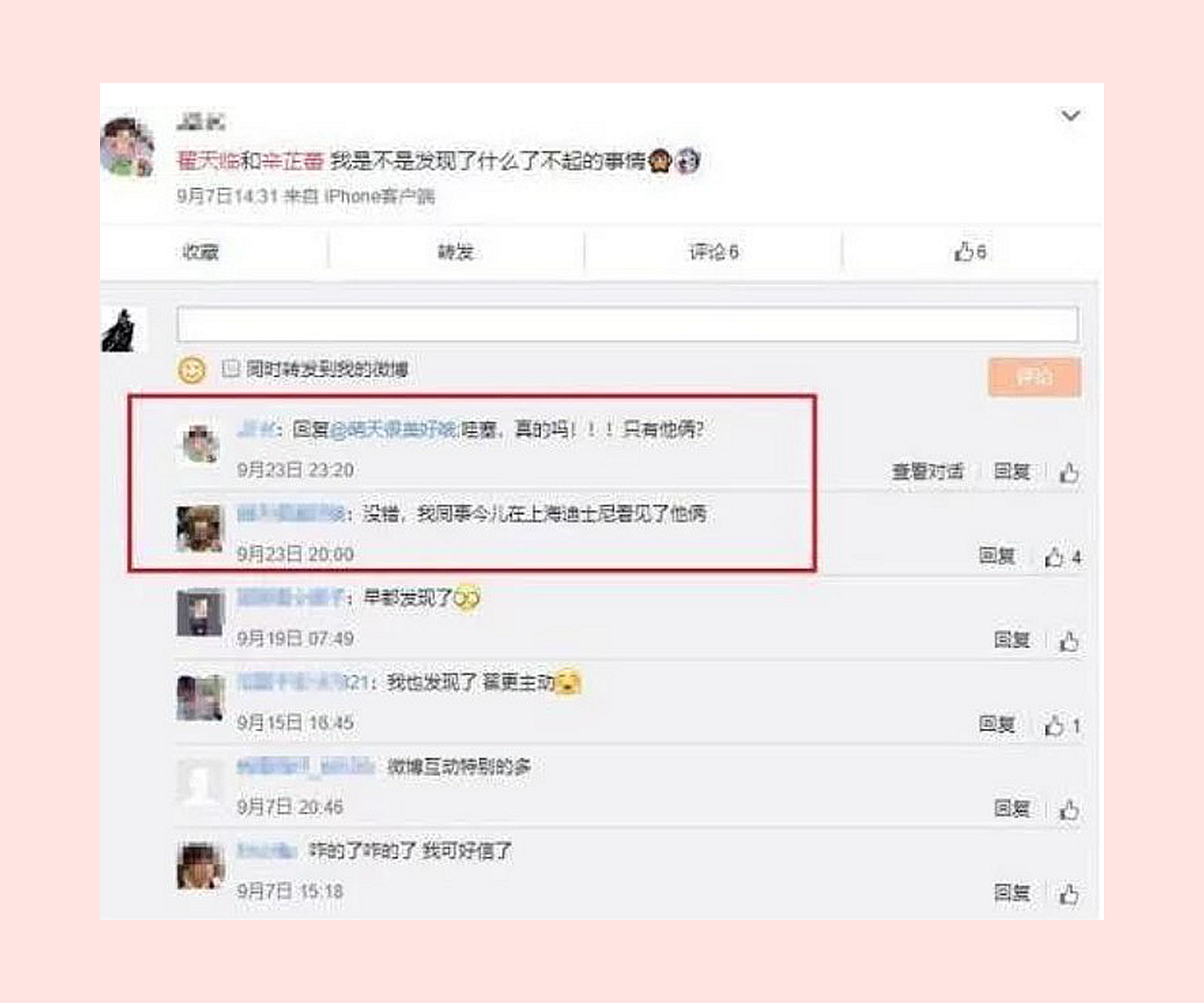 辛芷蕾耿直人设,辛芷蕾谈欲望和野心