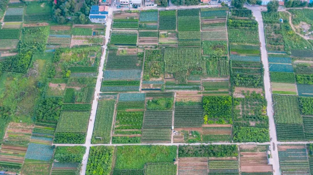 济南黄河入海口自驾游最佳路线图,春节济南出发自驾游最佳线路推荐