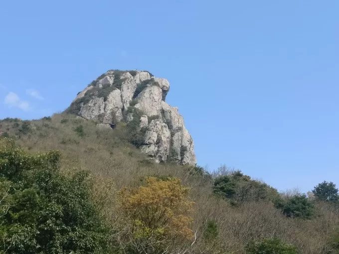 上海去桃花岛的自驾轮渡时间表,上海开车去舟山桃花岛怎么去