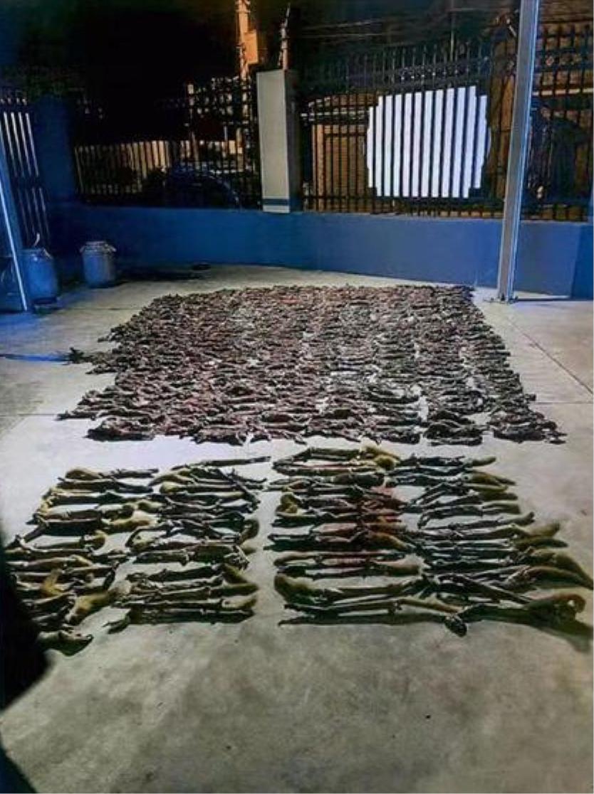 枪打黄鼠狼泡药酒，四川一男子被判刑！黄鼠狼为什么受保护？