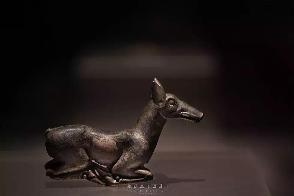 陕西历史博物馆唯美视频,陕西历史博物馆视频高级感