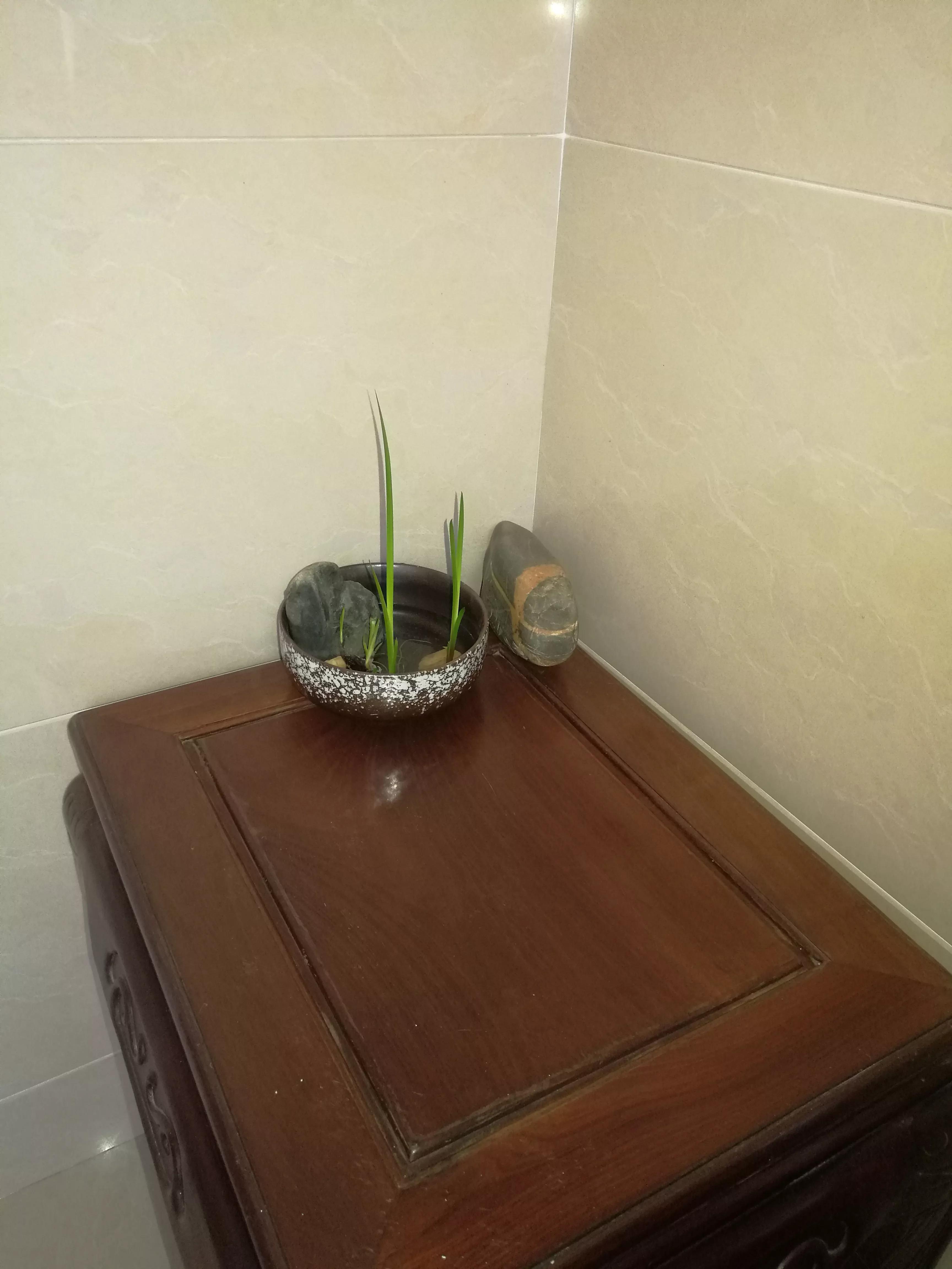 水都变成黄色了能用吗,怎么水都变清了