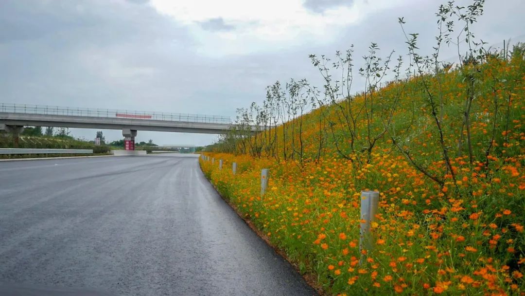 「今日常州」中以产业技术研究院建设进入新阶段||《常州市养犬管理条例》立法调查问卷请您参与