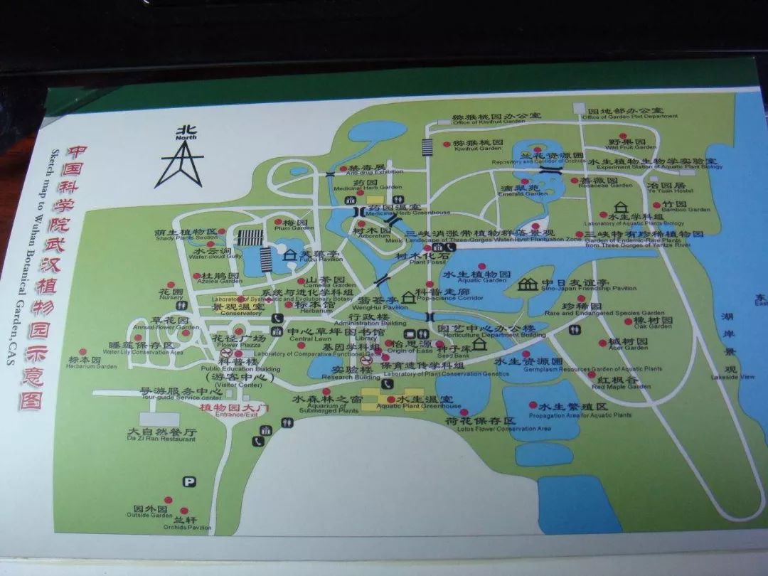 必将开创光谷的先河！极端位置！户型令人惊掉大牙！