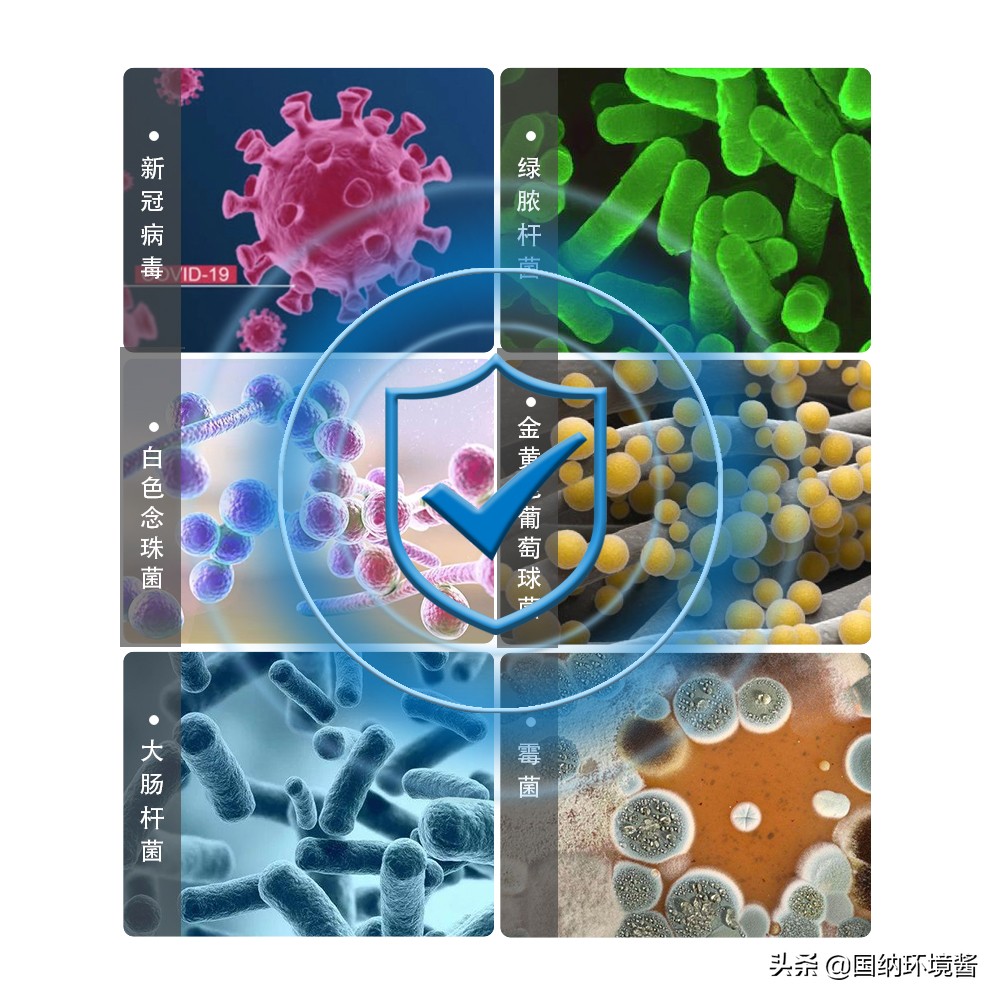 国内唯一一款杀新冠病毒的产品,高效灭杀新冠病毒面料问世