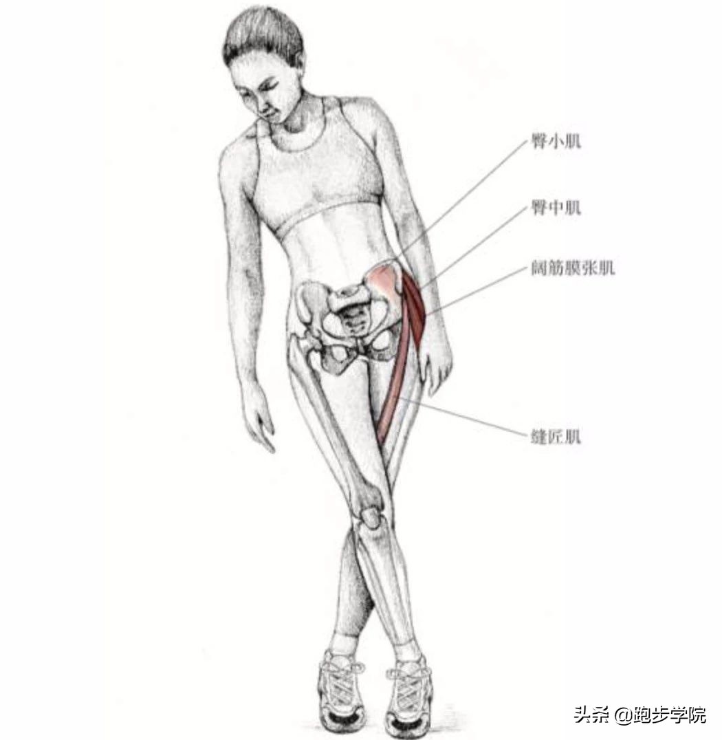跑步膝盖疼痛自检,跑步大神们初跑时有膝盖疼的问题