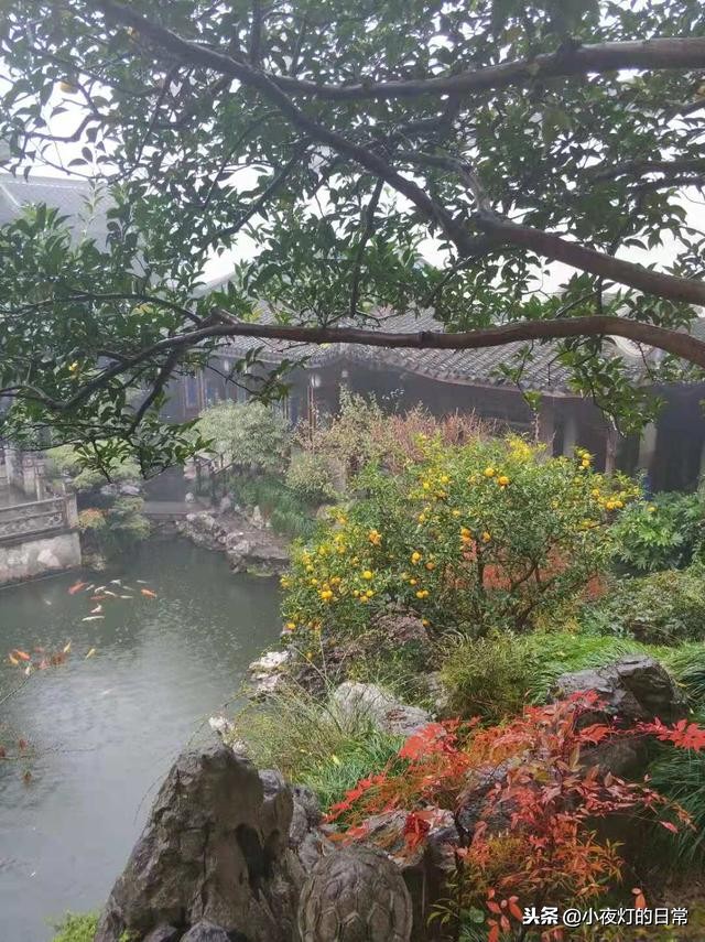 清朝富商胡雪岩故居,清末富商胡雪岩故居